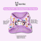 Essential Step-In Harness Walk Set - Peanut Butter Jelly (3-Piece)