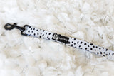 Ultimate Collar Bundle Set - Spotted (5-Piece) (Final Sale)