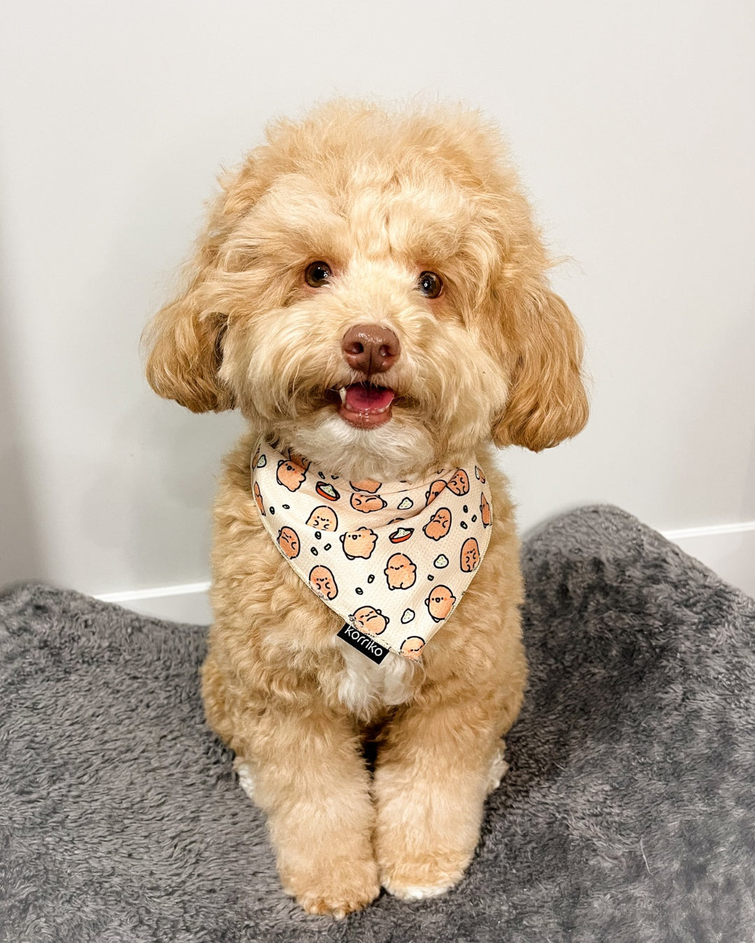 Cooling Dog Bandana - Potato