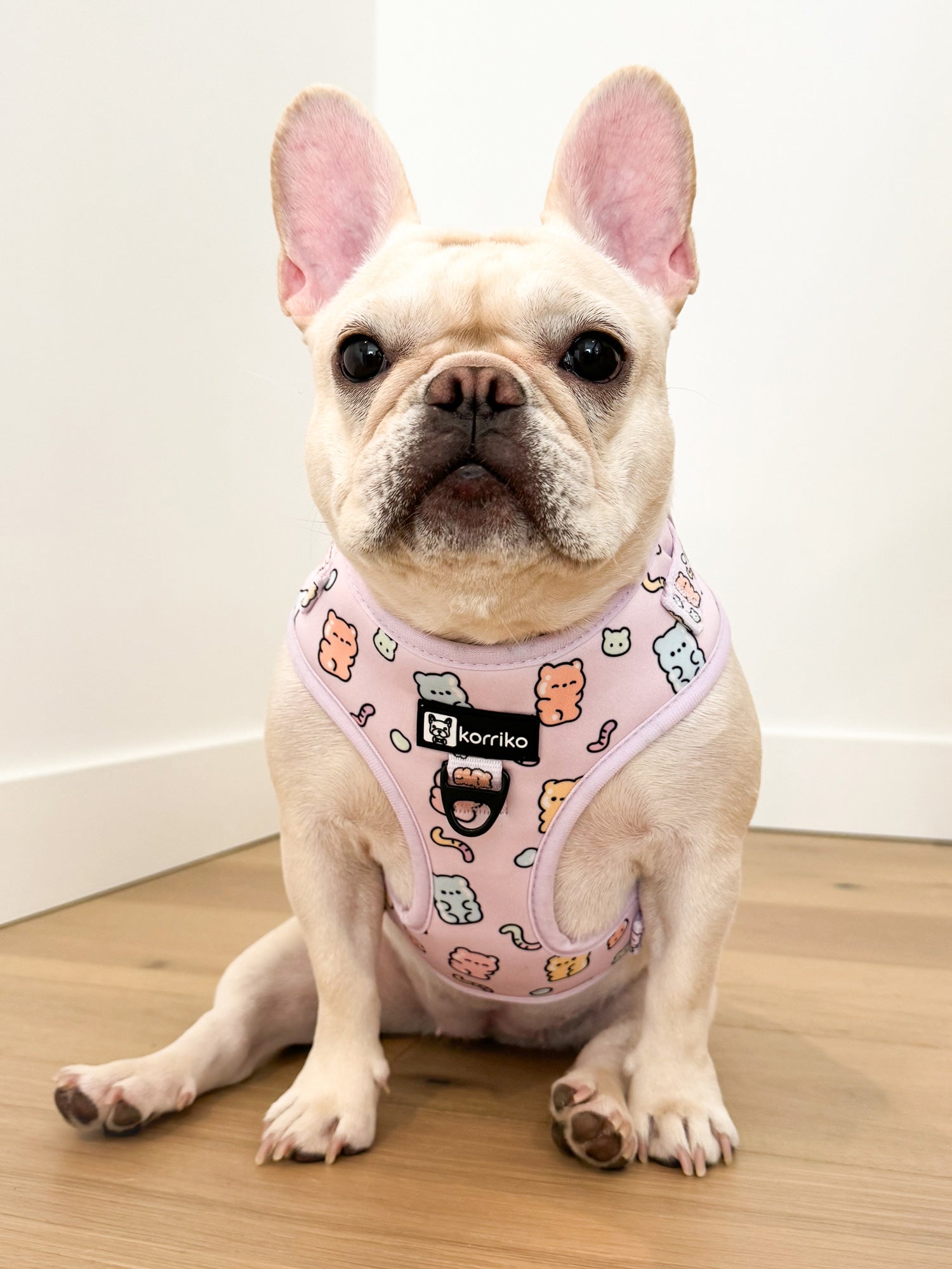 Adjustable Dog Harness - Gummy Bear