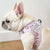 Step-In Dog Harness - Gummy Bear