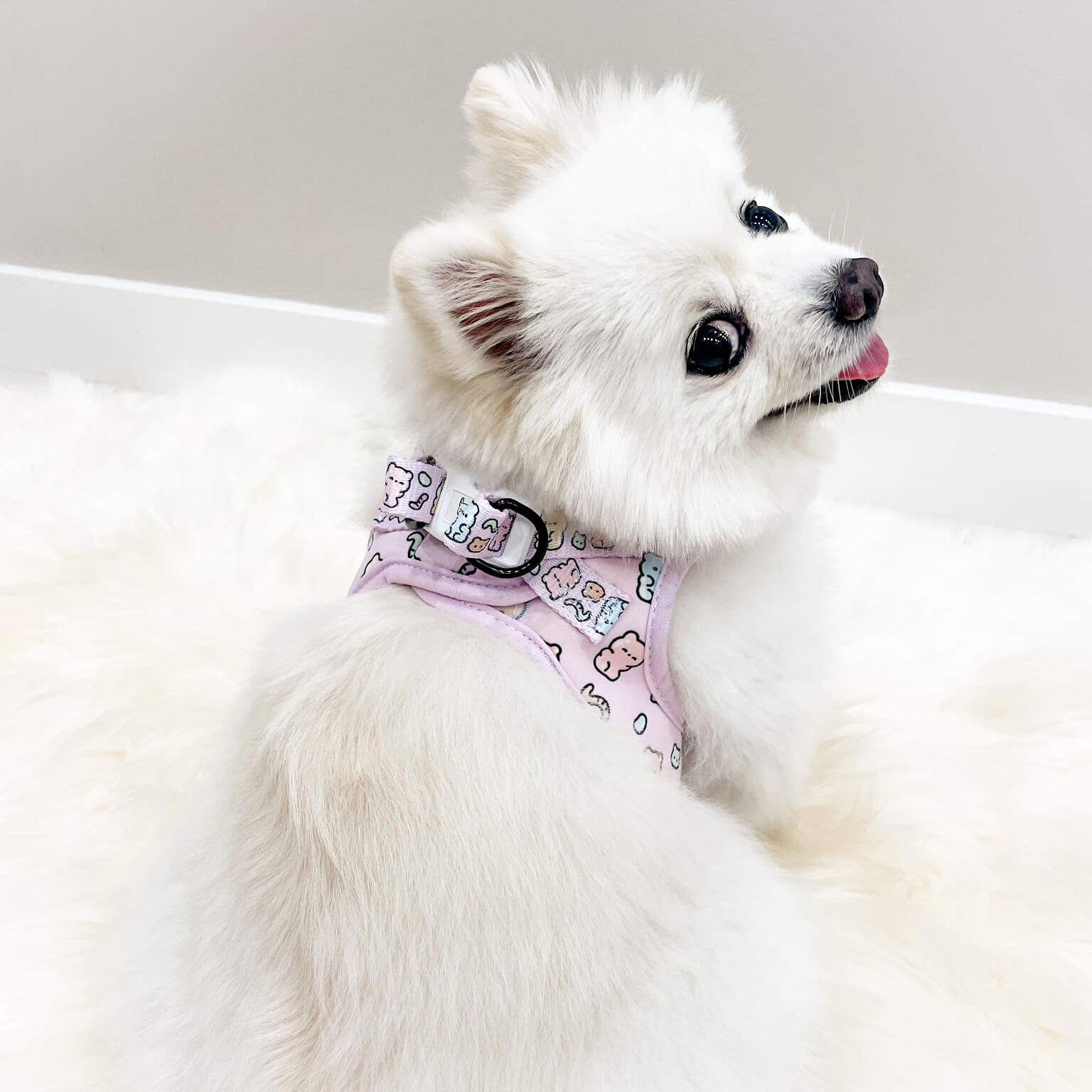 Step-In Dog Harness - Gummy Bear
