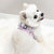 Ultimate Harness Bundle Set - Gummy Bear (Step-In)