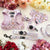 Ultimate Harness Bundle Set - Gummy Bear (Step-In)