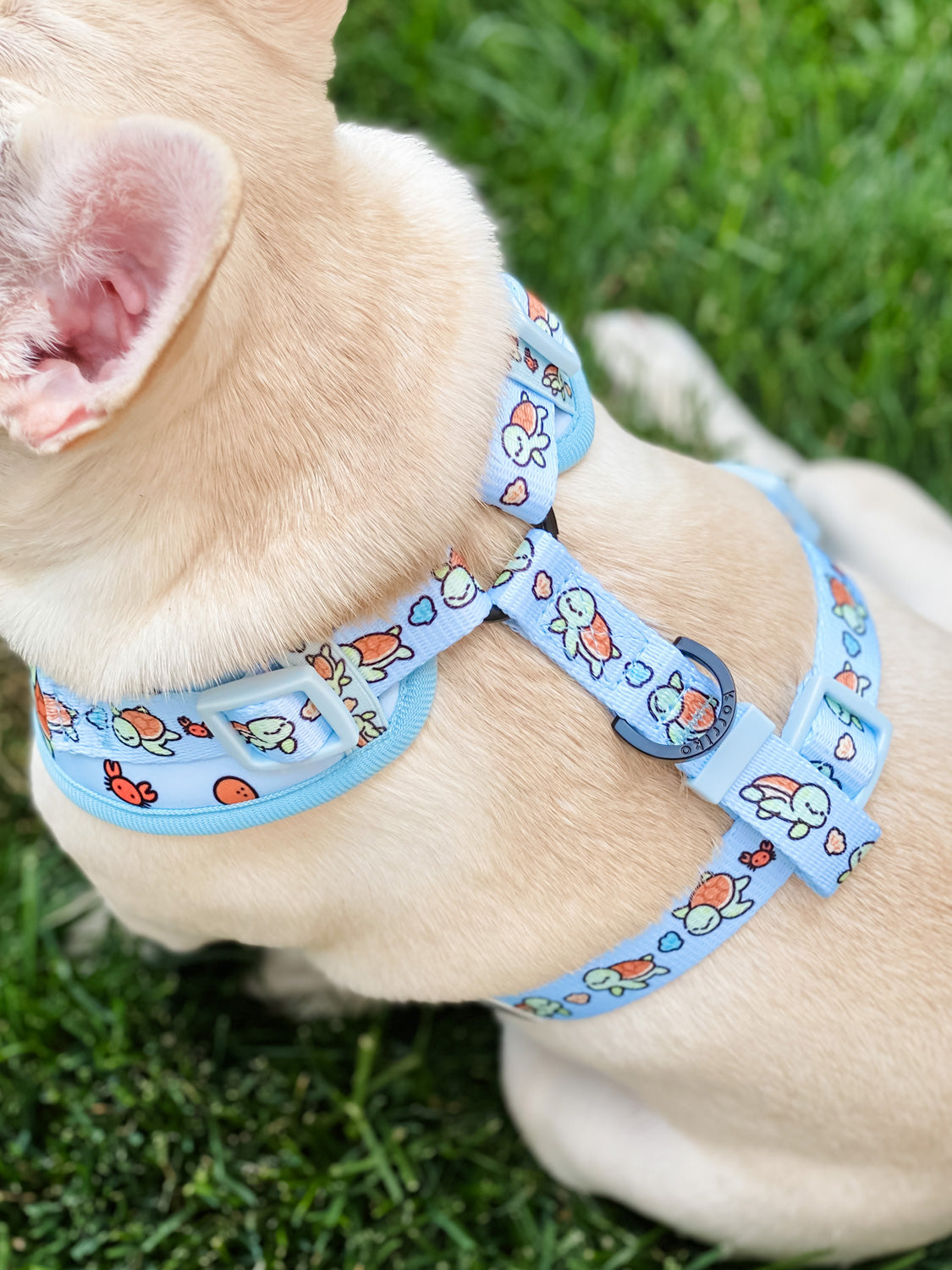 Adjustable Dog Harness - Under The Sea