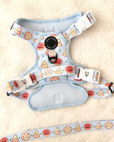 Essential Exploration No-Pull Harness Walk Set - Pizza (3-Piece)