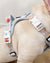 Exploration Lite No-Pull Dog Harness - Pizza