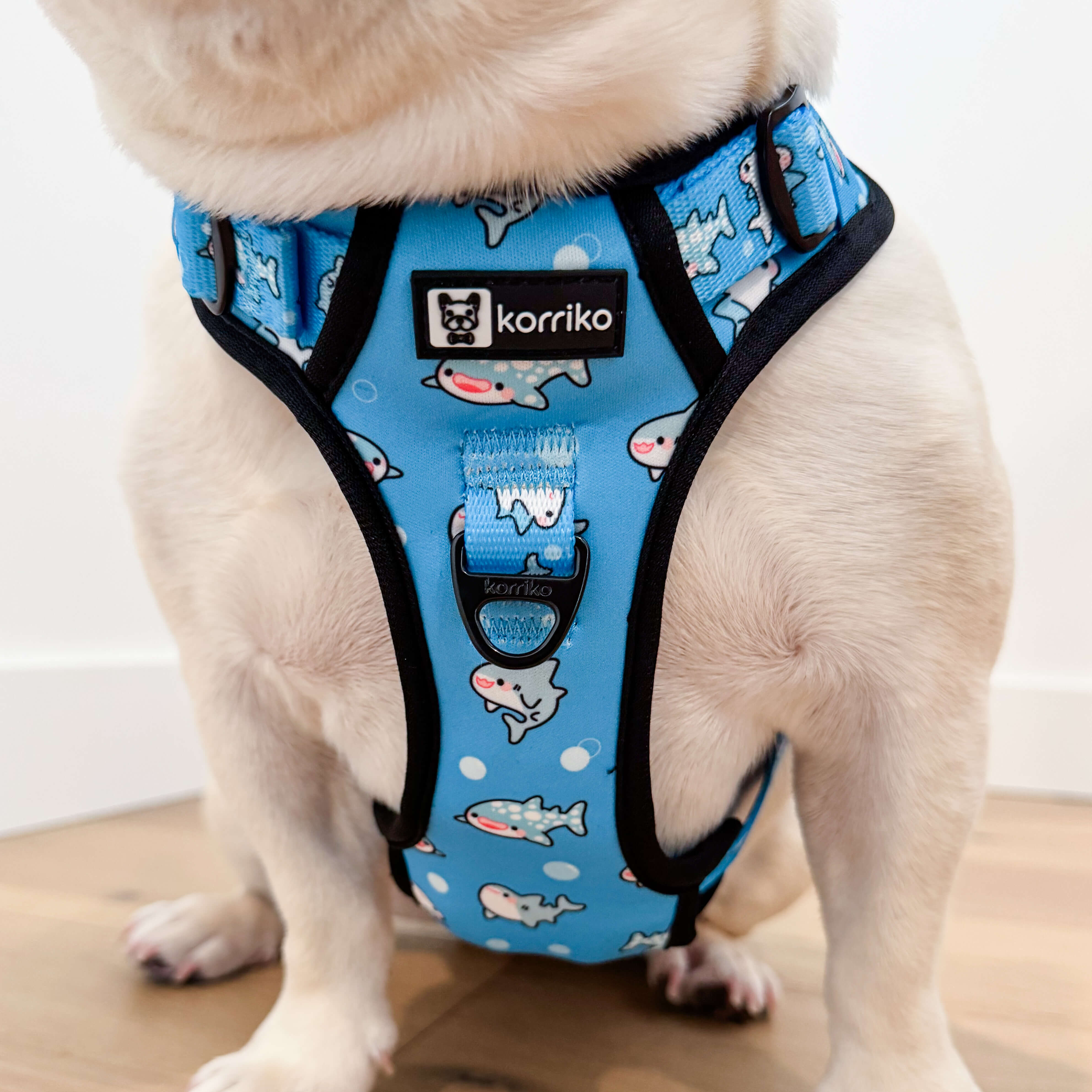 Exploration Lite No-Pull Dog Harness - Shark