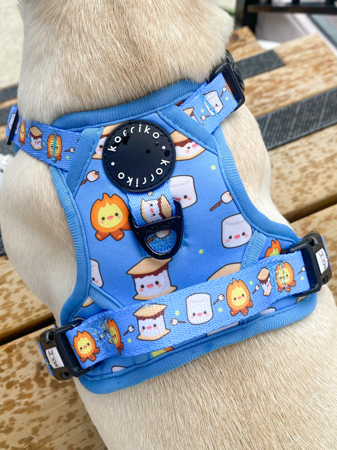 Exploration Lite No-Pull Dog Harness - S'mores