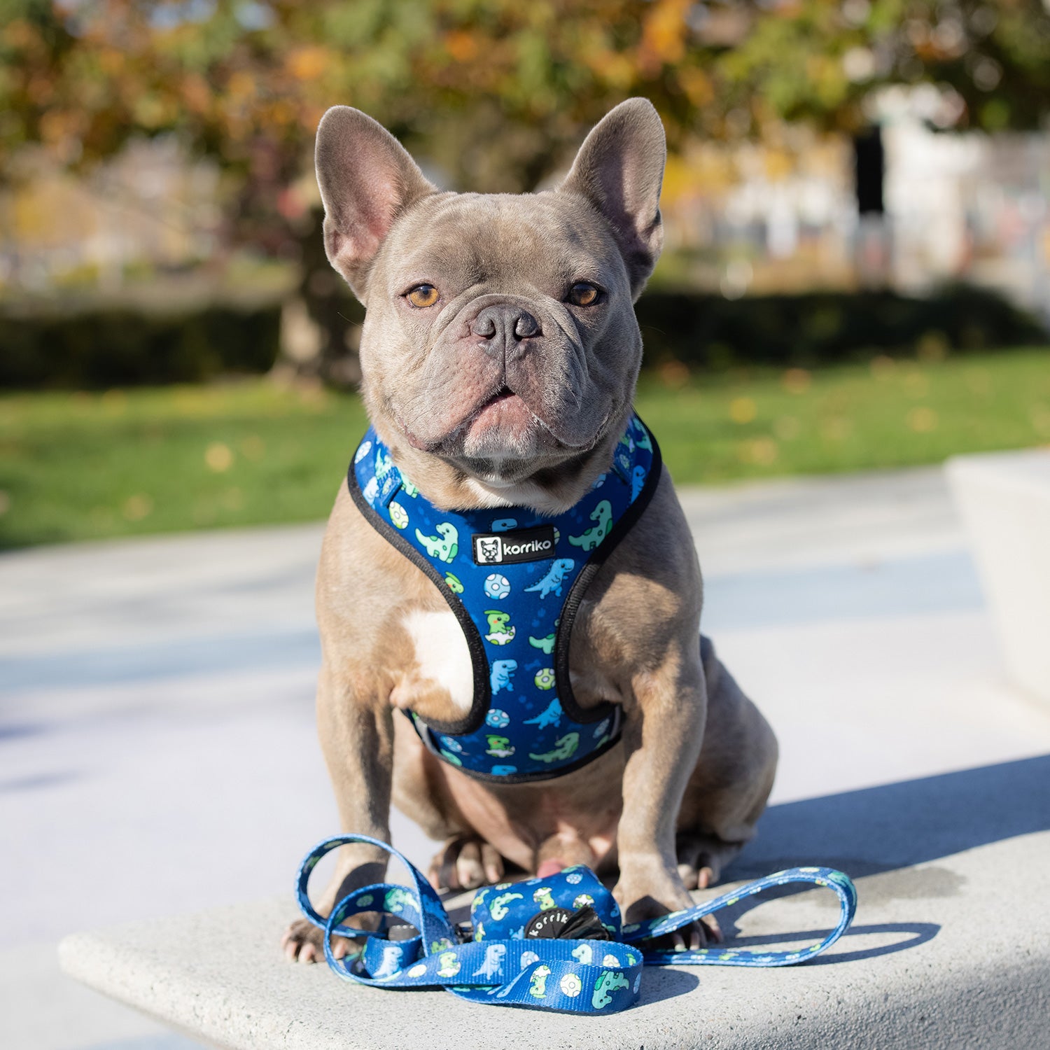 Adjustable Dog Harness - Dino