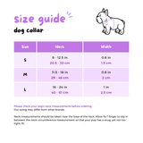 Dog Collar - Feel The Love (Final Sale)