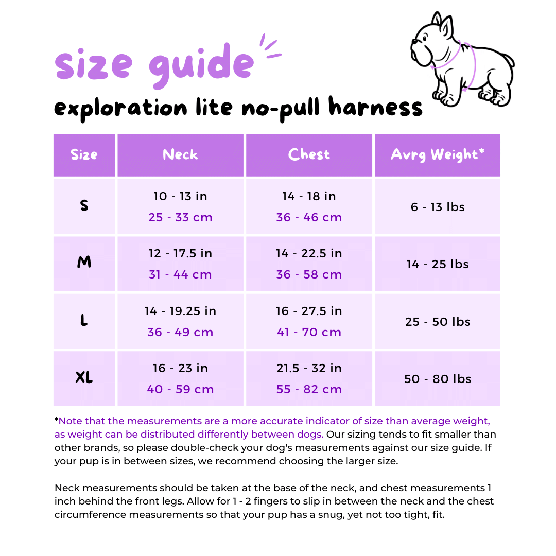 Essential Exploration No-Pull Harness Walk Set - Sushi (3-Piece)