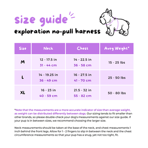 Exploration No-Pull Dog Harness - Dino