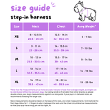 Step-In Dog Harness - Dino