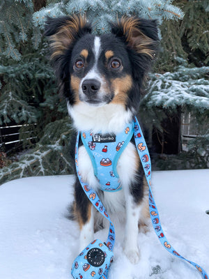 Adjustable Dog Harness - Adorabao