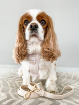 Exploration Lite No-Pull Dog Harness - Almond Nude (Final Sale)