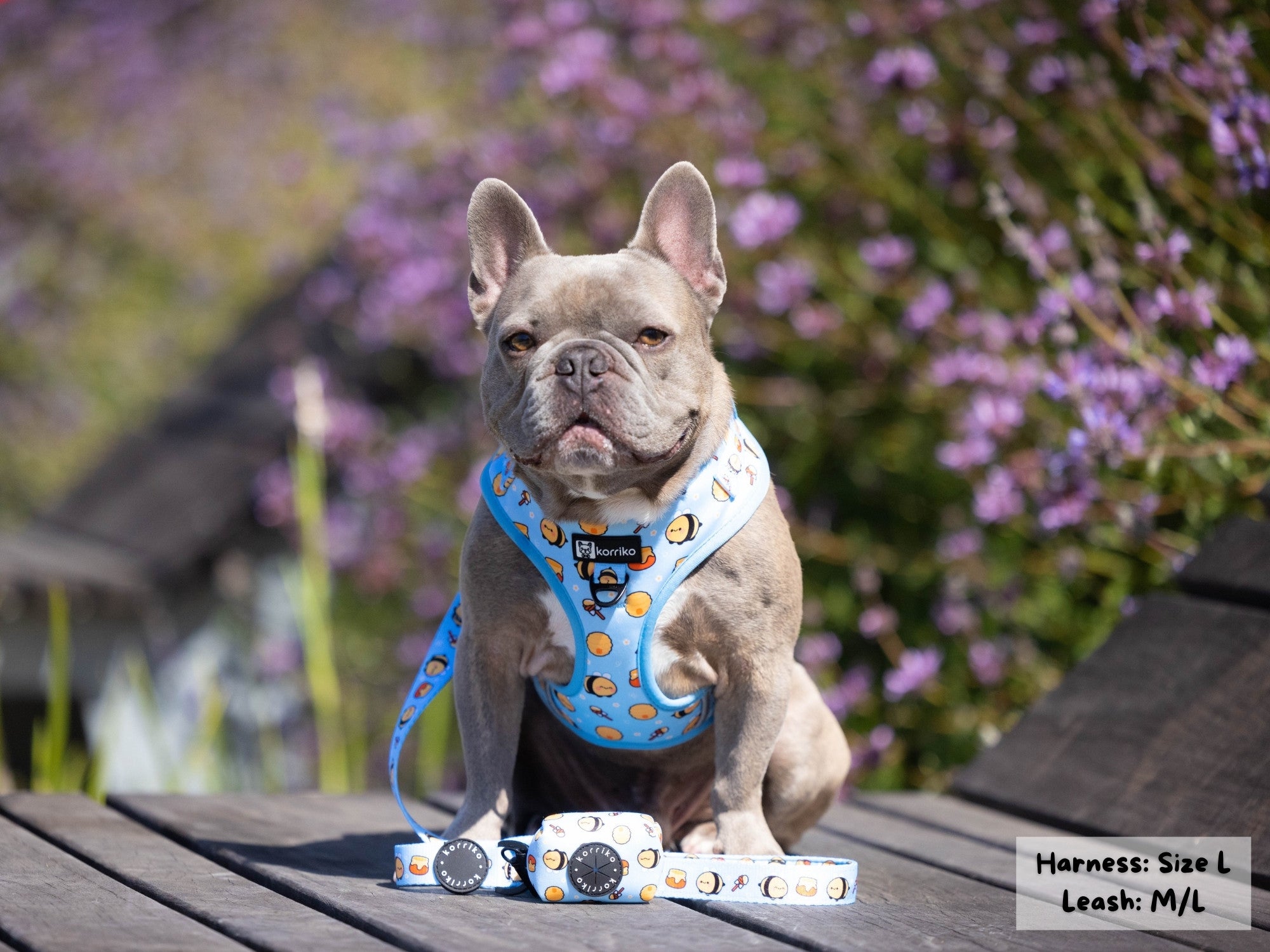 Adjustable Dog Harness - Honeybee (SECONDS - FINAL SALE)