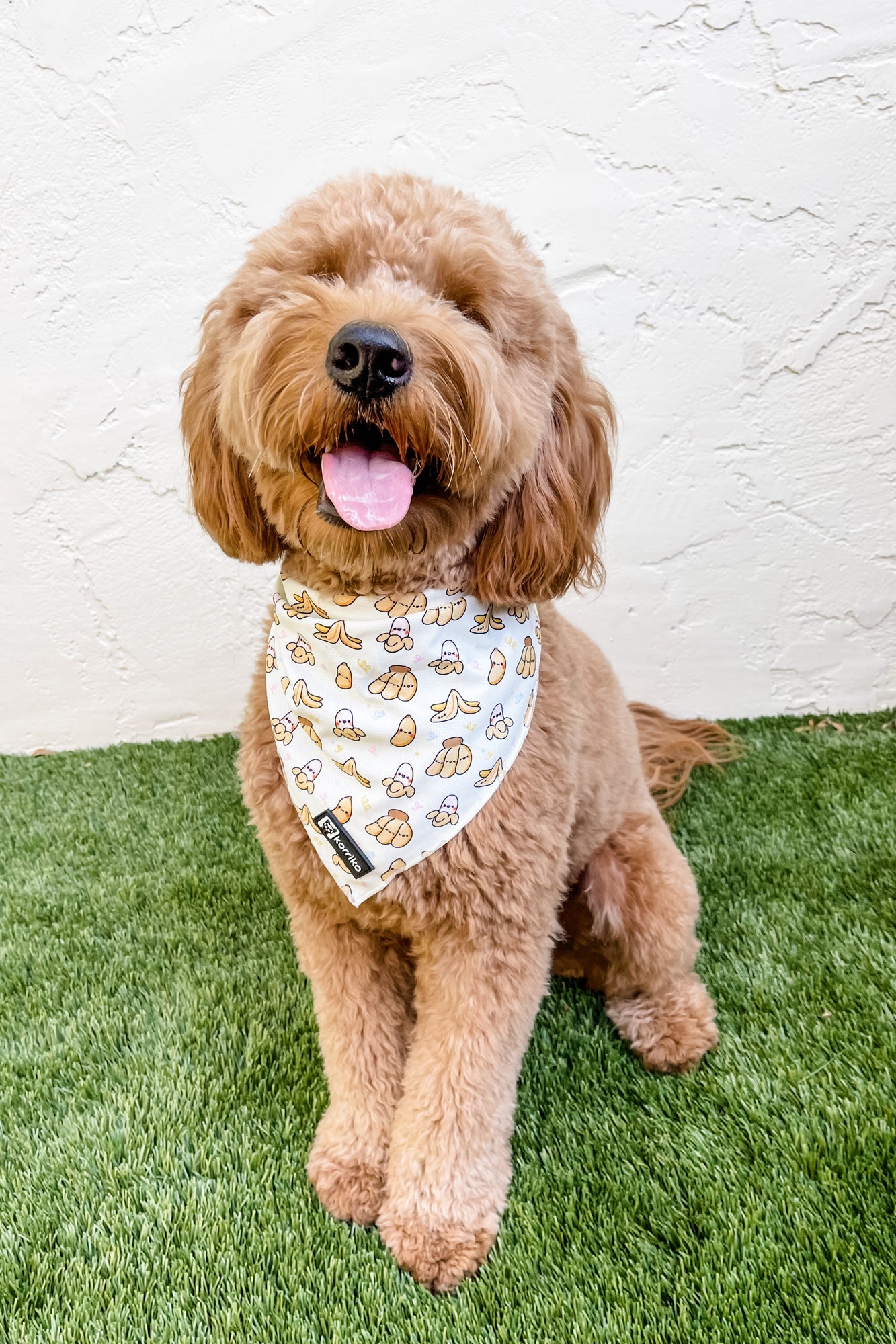 Cooling Dog Bandana - Go Bananas