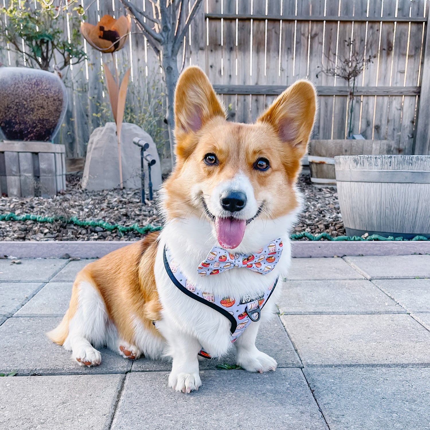 Adjustable Dog Harness - Ramen