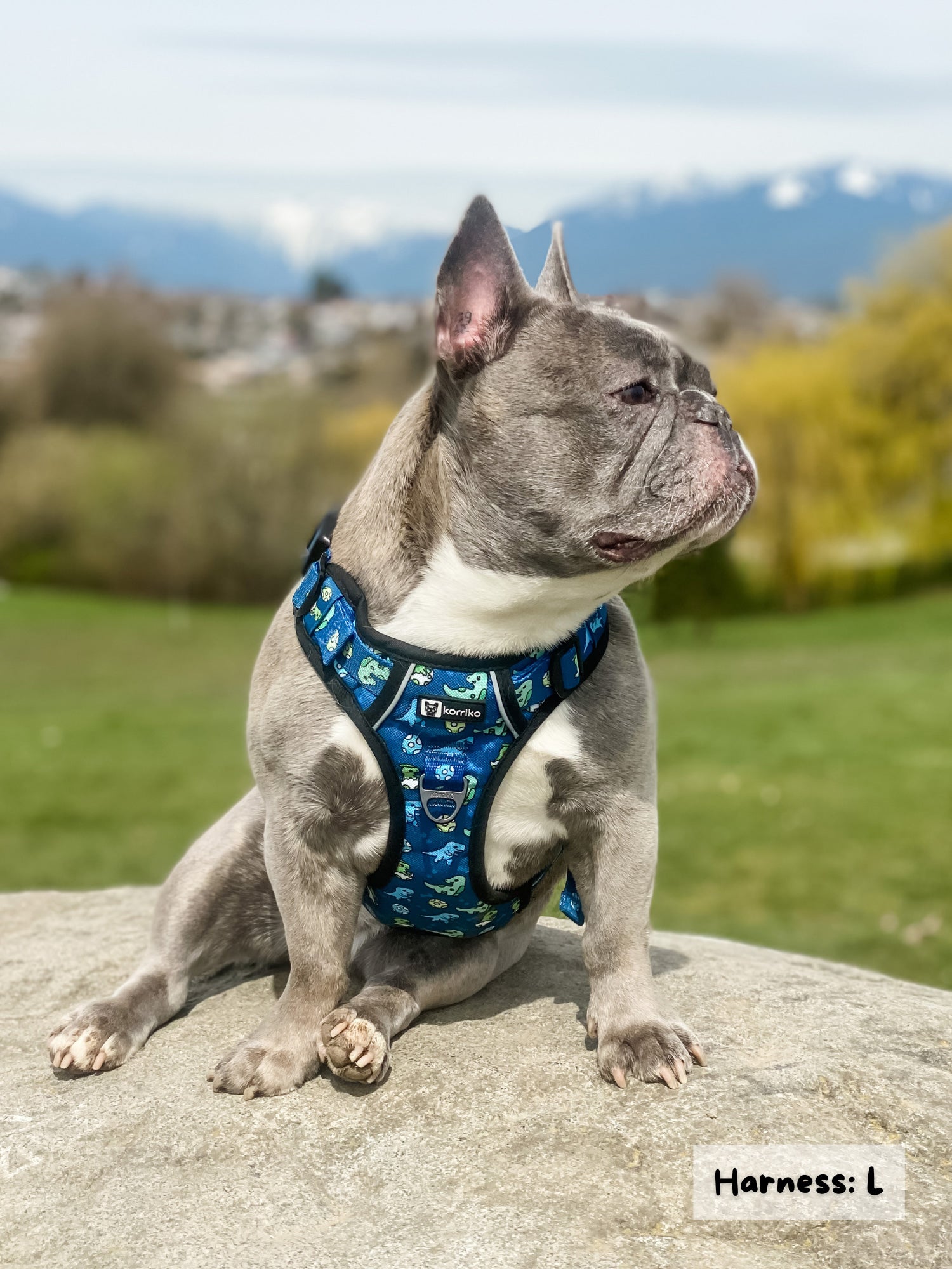 Exploration No-Pull Dog Harness - Dino