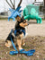 Step-In Dog Harness - Dino