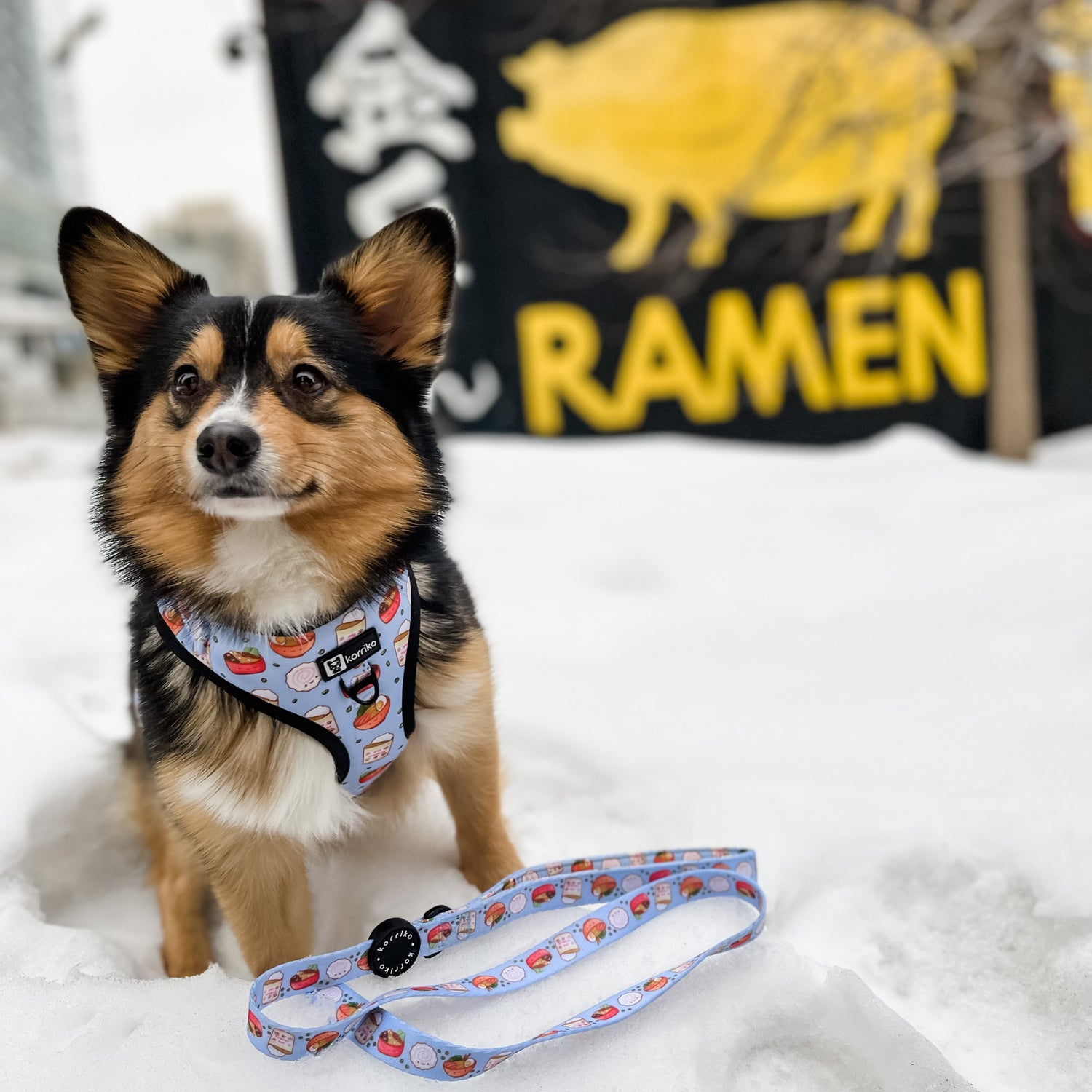 Dog Leash - Ramen