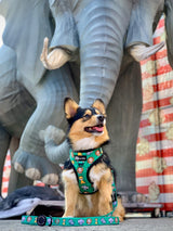 Adjustable Dog Harness - Safari (Final Sale)