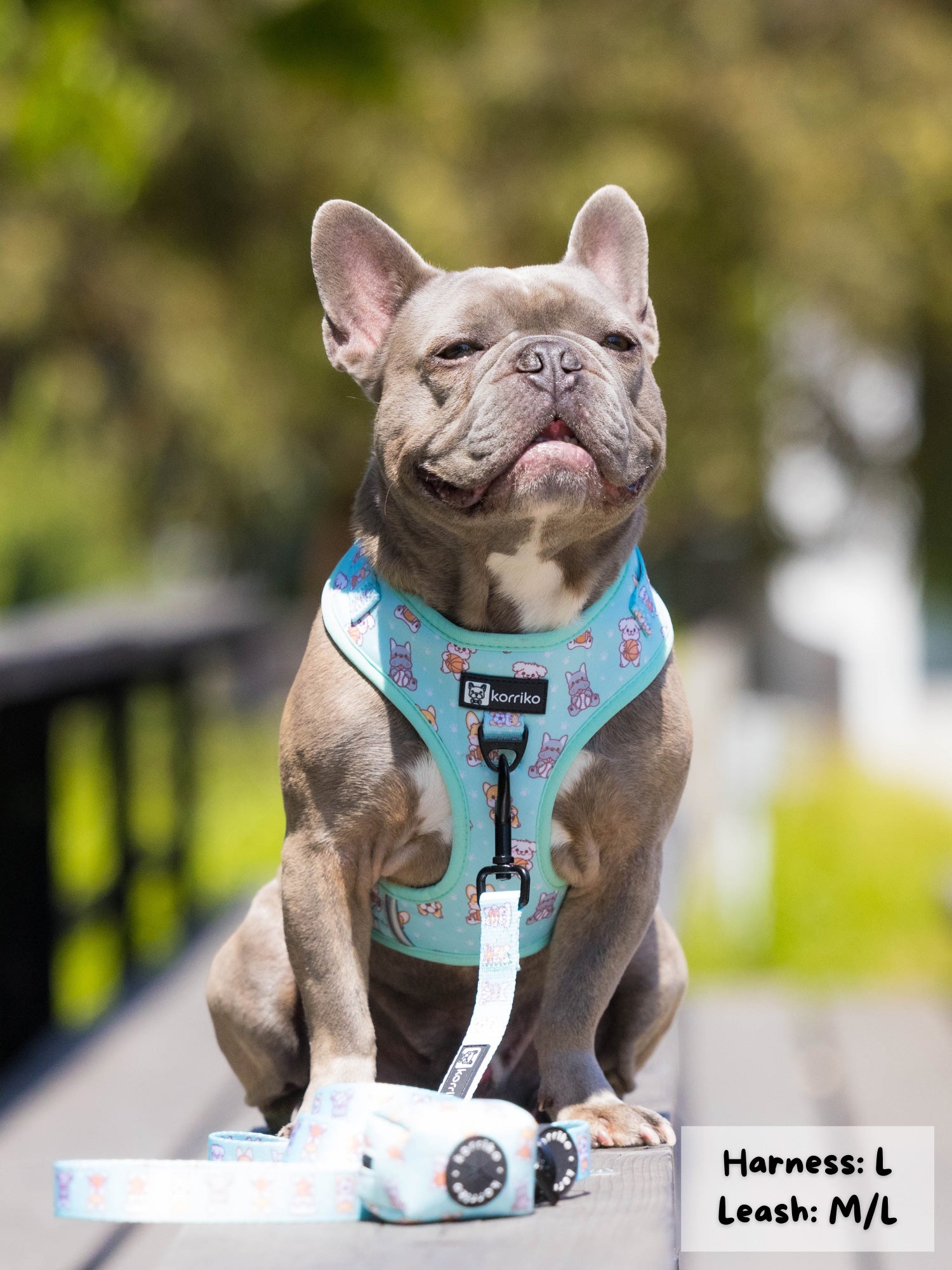 Adjustable Dog Harness - Dream Team