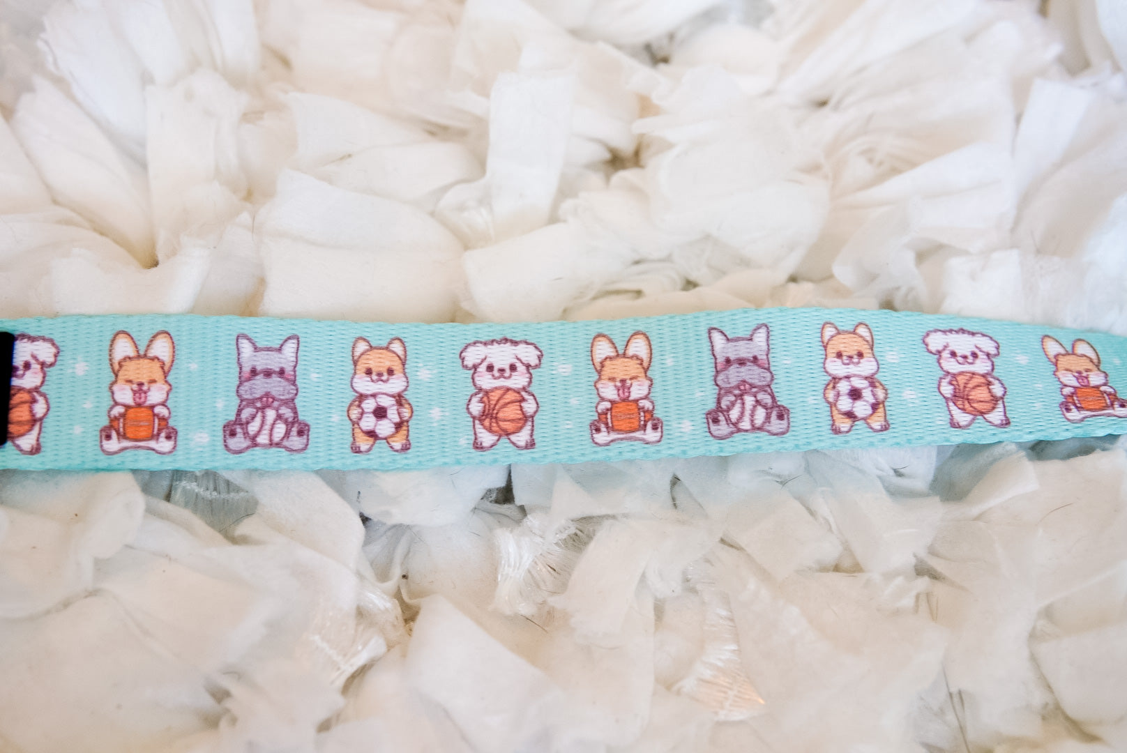 Dog Leash - Dream Team (Final Sale)