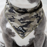 Cooling Dog Bandana - Green Camo (Final Sale)