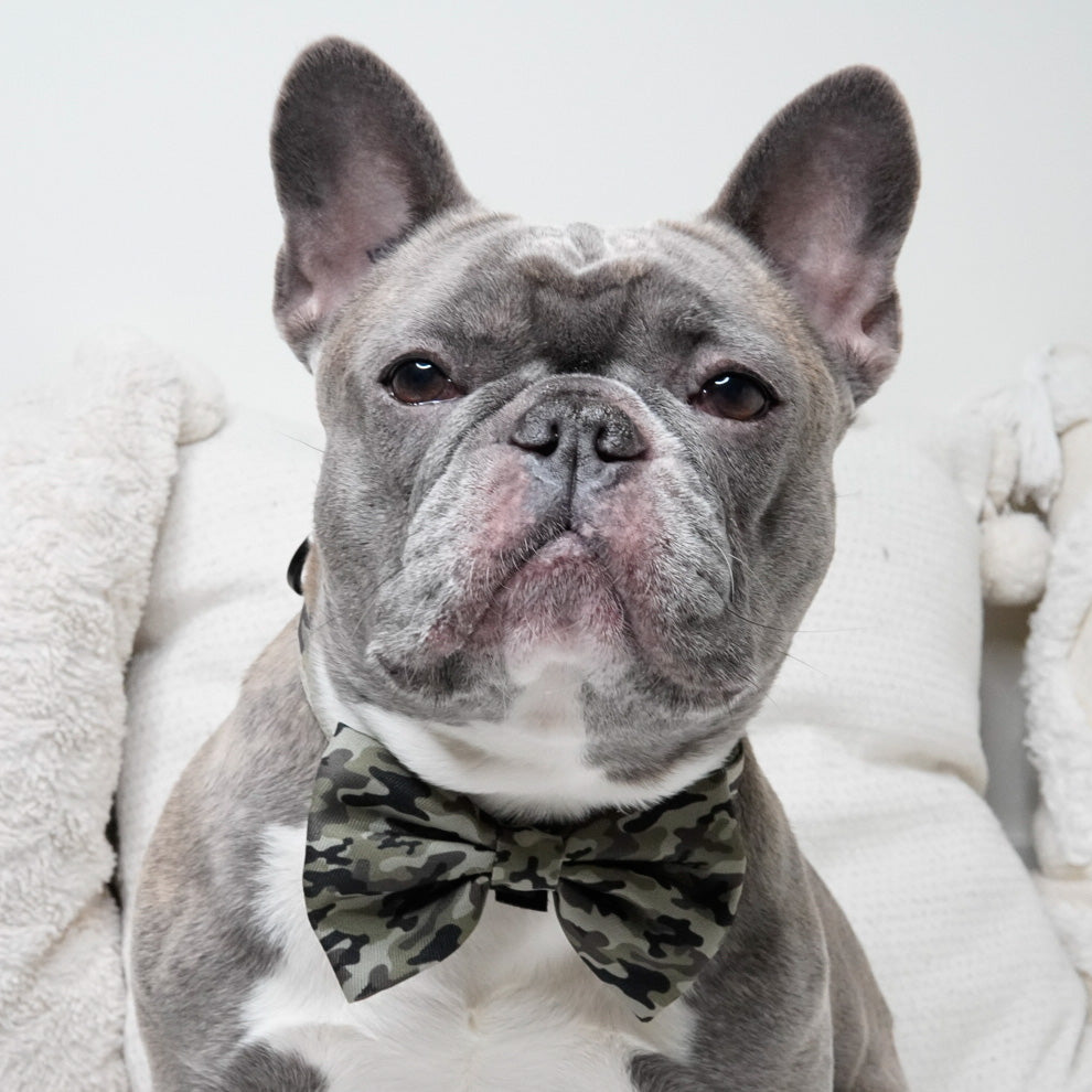 Dog Bow Tie - Green Camo