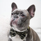 Dog Bow Tie - Green Camo (Final Sale)
