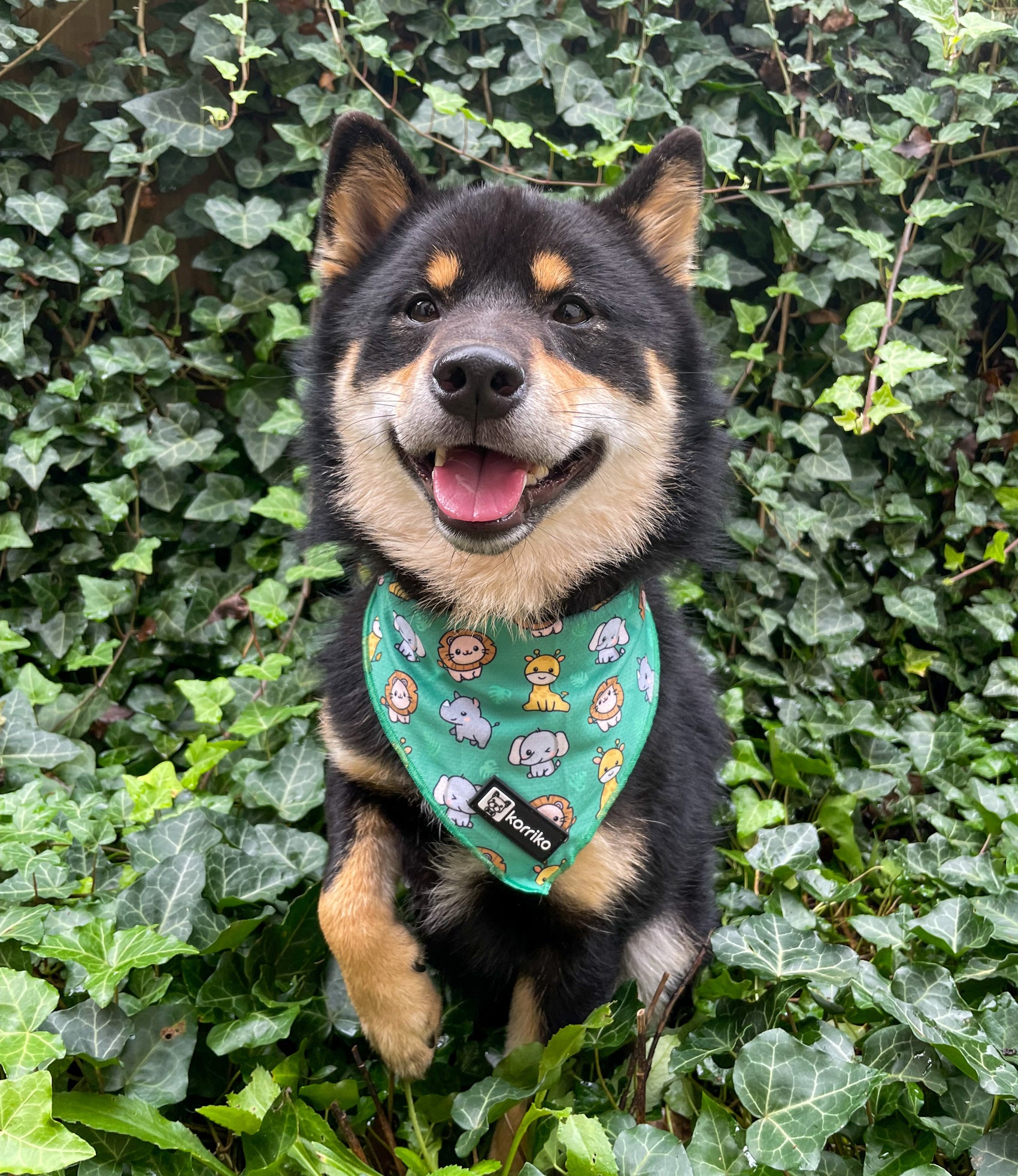 Cooling Dog Bandana - Safari