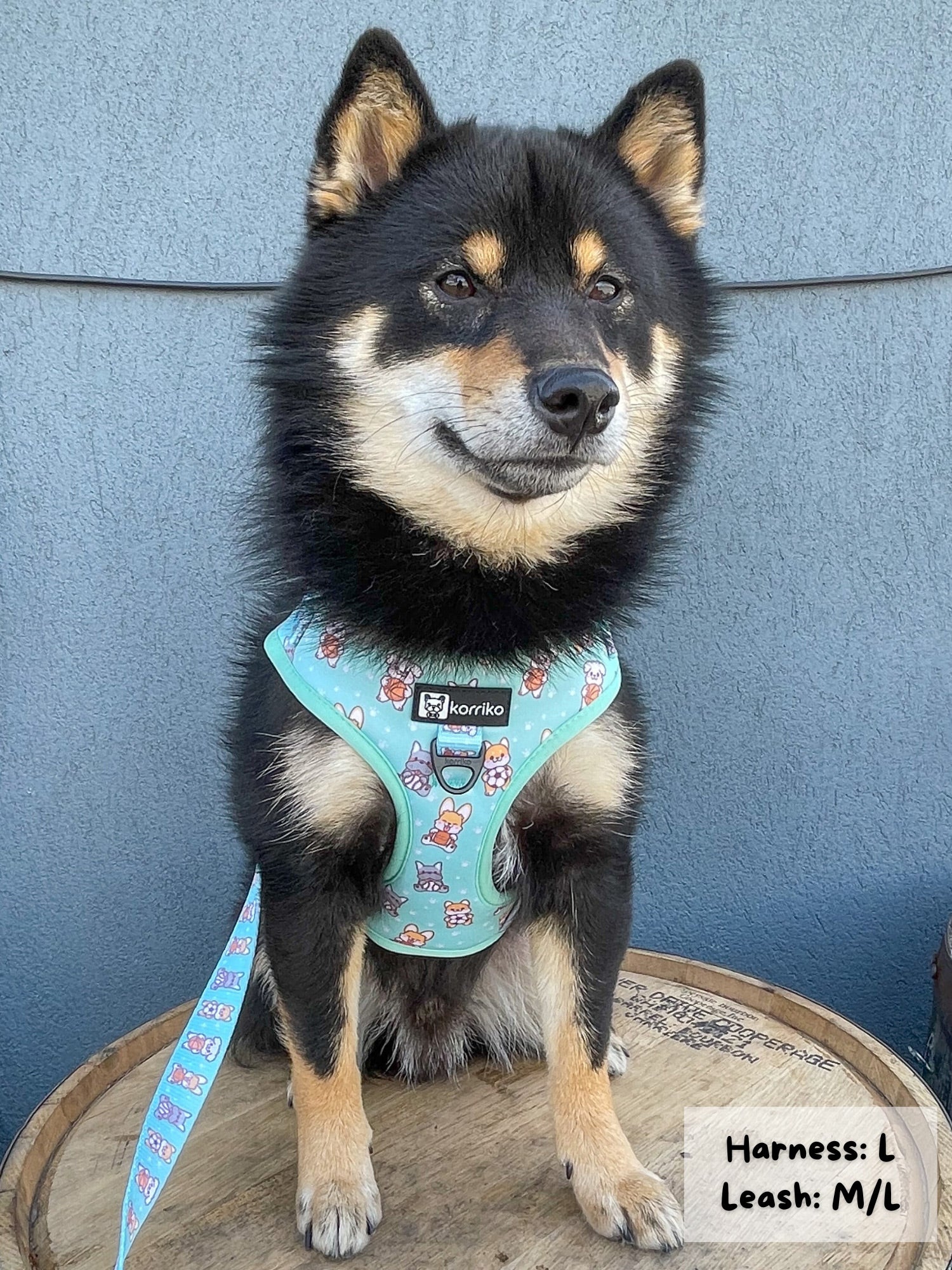 Adjustable Dog Harness - Dream Team