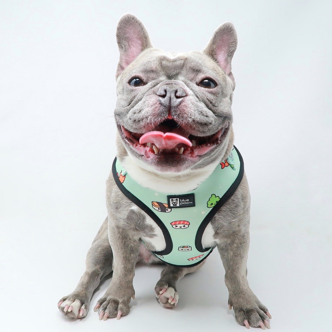 Adjustable Dog Harness - Sushi (BPC - SECONDS - FINAL SALE)