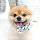 Dog Collar - Feel The Love (Final Sale)