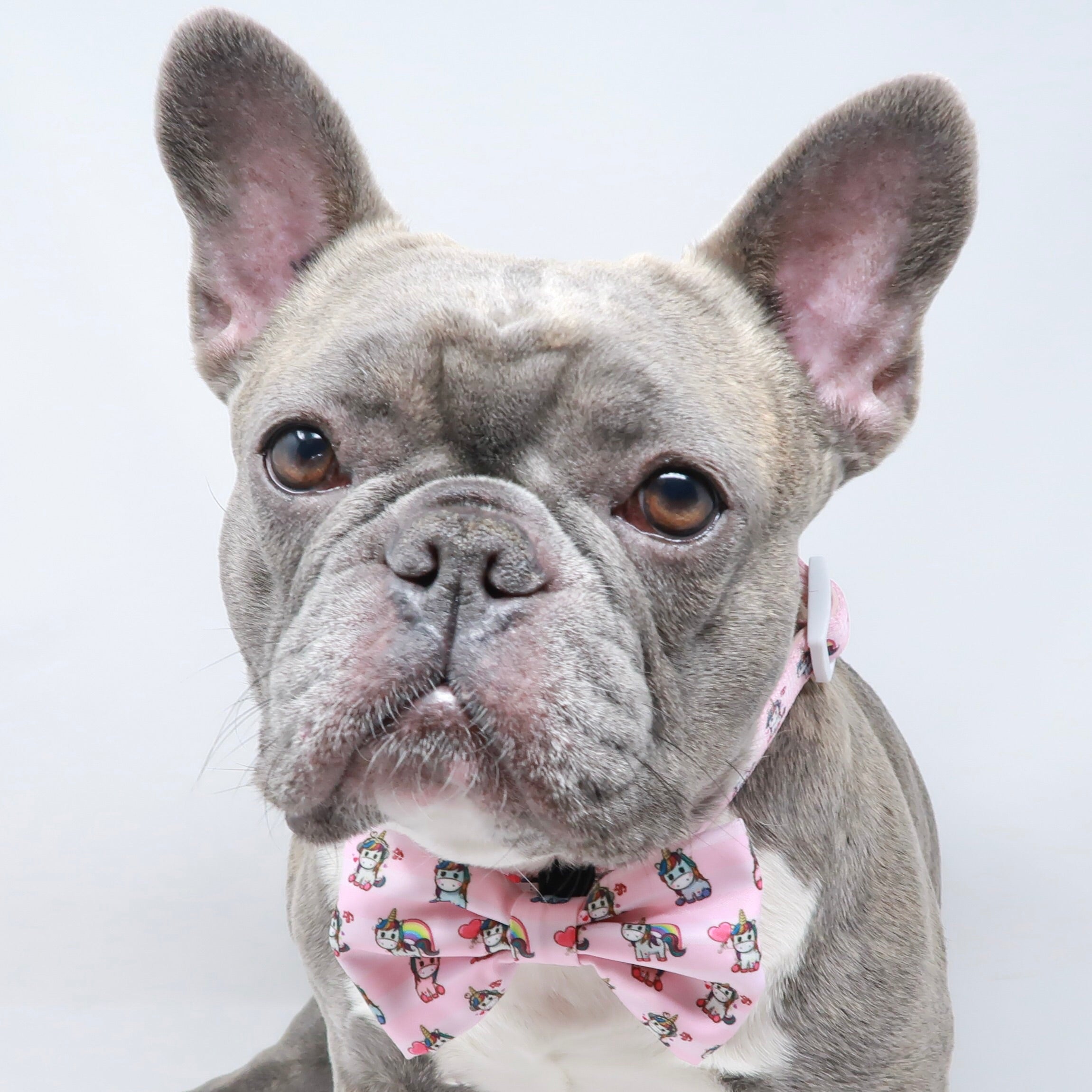 Dog Bow Tie - Hearts & Horns (Blue Paw Co. - FINAL SALE)