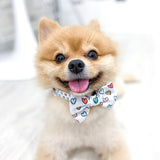 Dog Collar - Feel The Love (Final Sale)