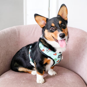 Adjustable Dog Harness - Sushi (BPC - SECONDS - FINAL SALE)