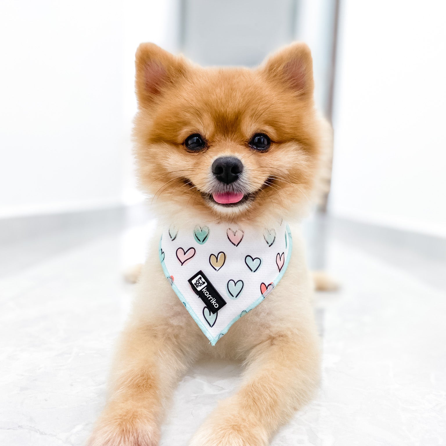 Cooling Dog Bandana - Feel The Love