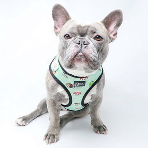 Adjustable Dog Harness - Sushi (BPC - SECONDS - FINAL SALE)