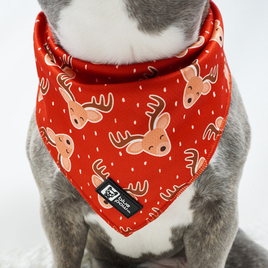 Cooling Dog Bandana - Jolly Reindeer (Blue Paw Co. - FINAL SALE)