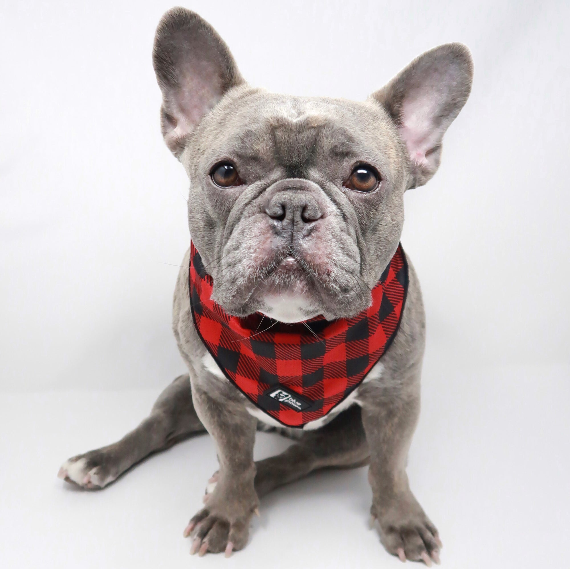 Cooling Dog Bandana - Ruffalo Plaid (BPC - SECONDS - FINAL SALE)