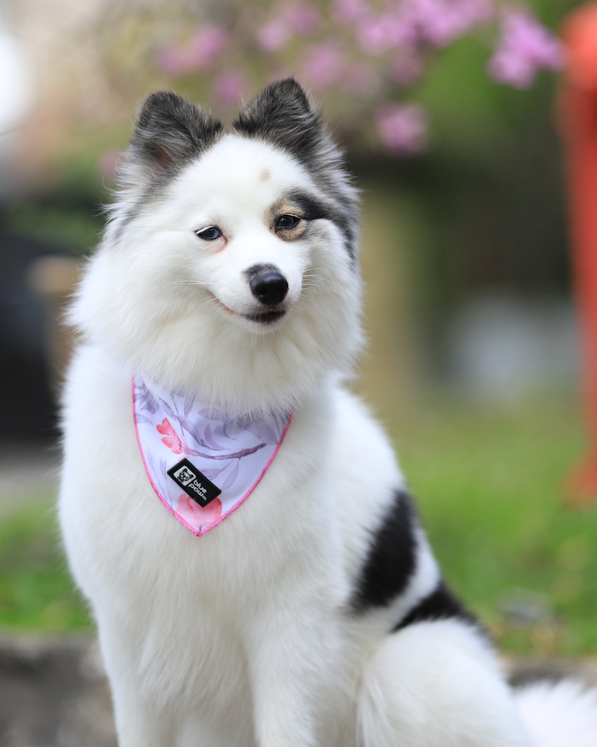 Cooling Dog Bandana - Fleur (Blue Paw Co. - FINAL SALE)