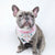Cooling Dog Bandana - Whistler (Blue Paw Co. - FINAL SALE)