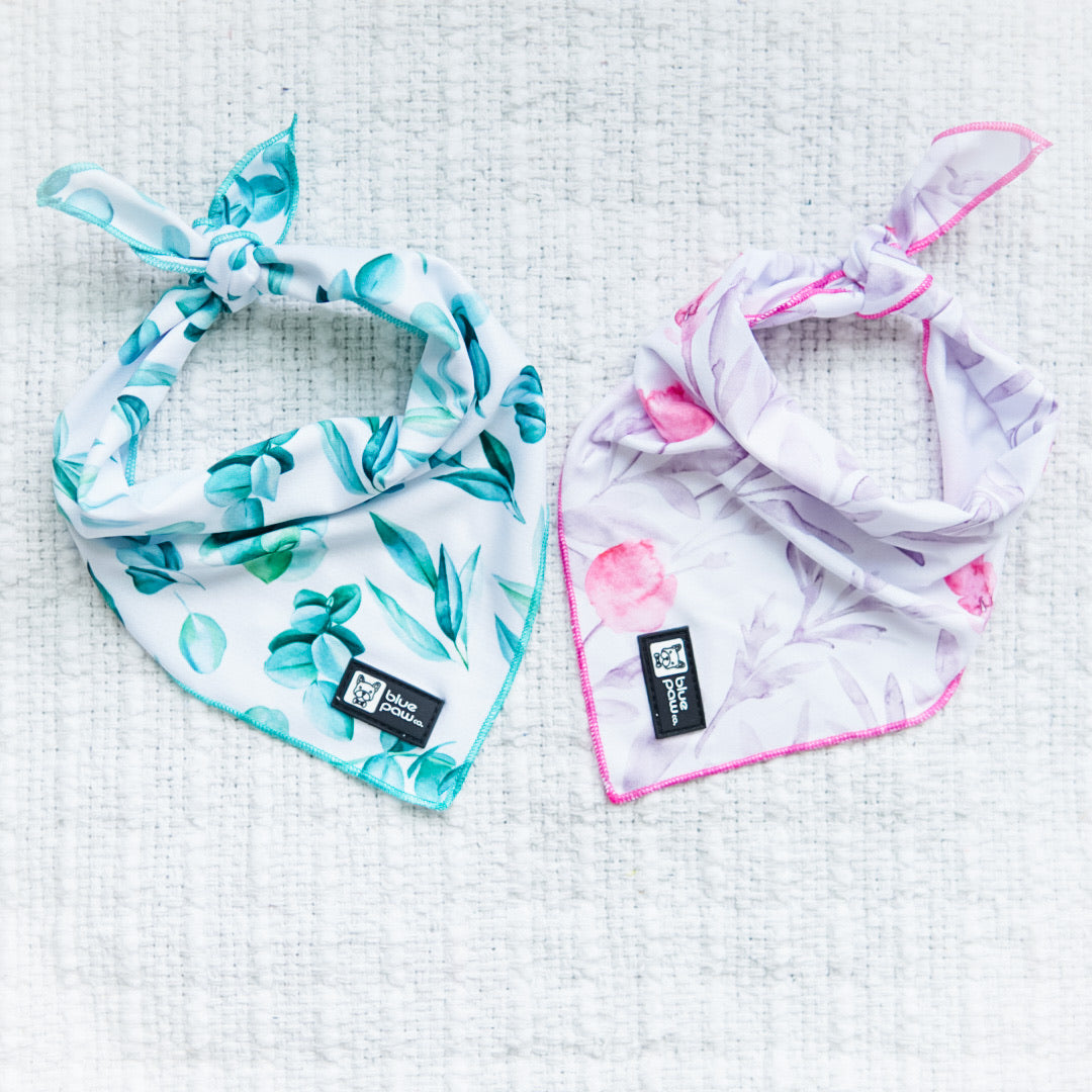 Cooling Dog Bandana - Fleur (Blue Paw Co. - FINAL SALE)