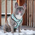 Adjustable Dog Harness - Sushi (Blue Paw Co. - FINAL SALE)