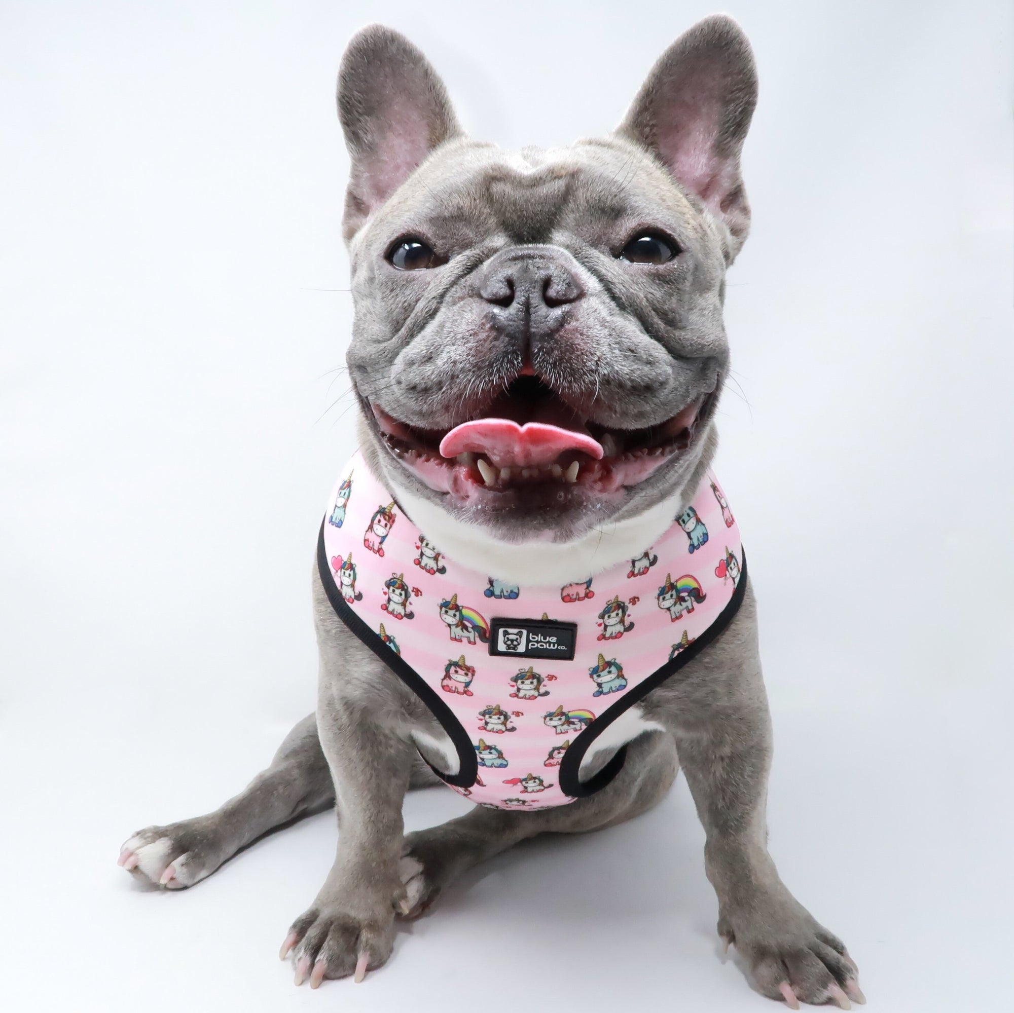 Reversible Dog Harness - Hearts & Horns (BPC - SECONDS - FINAL SALE)