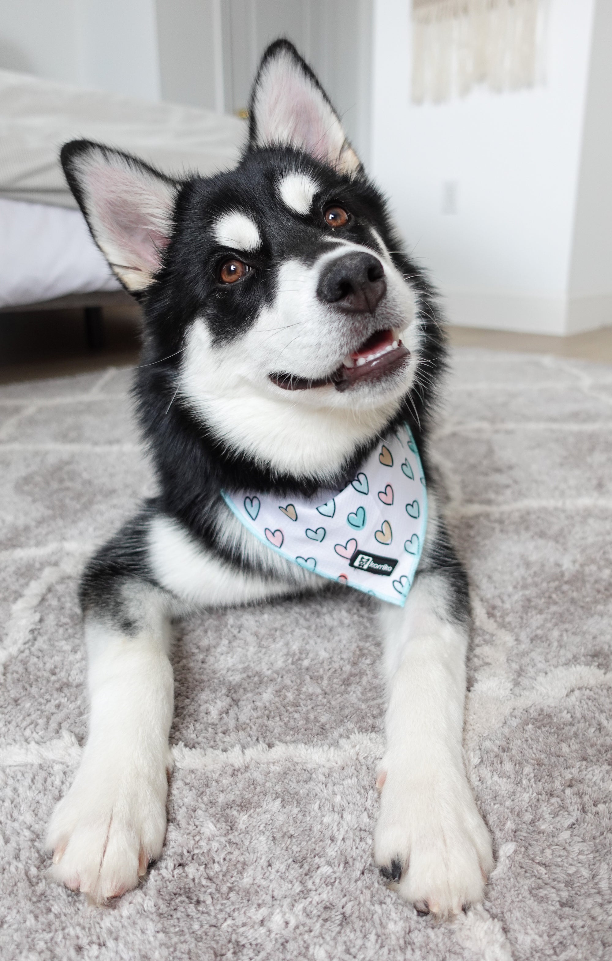 Cooling Dog Bandana - Feel The Love