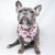 Cooling Dog Bandana - Piece Of Cake (BPC - SECONDS - FINAL SALE)